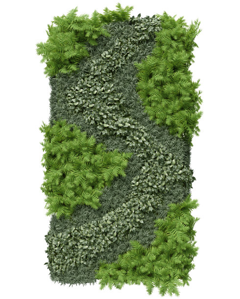 逼真的绿色墙壁。图片下载