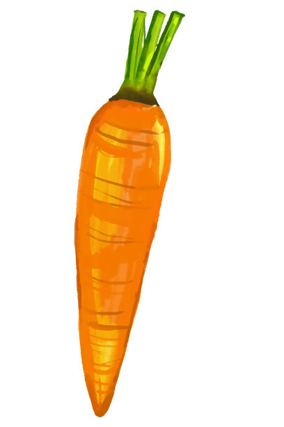 水彩和绘画新鲜胡萝卜在白色背景。数字绘画水果和蔬菜插图。区域食品概念。图片下载