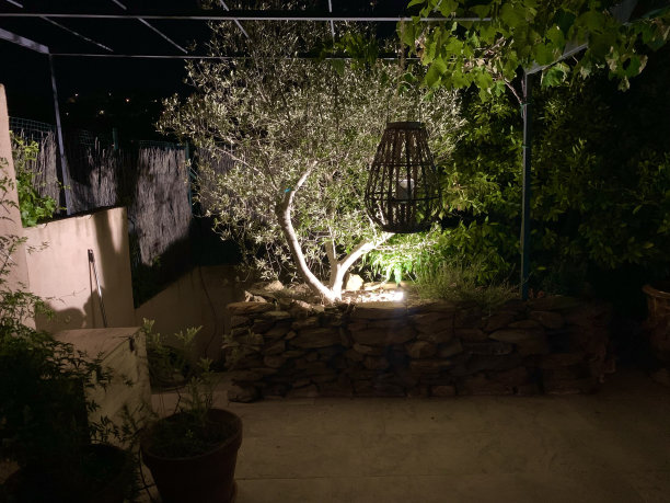 夜晚灯火通明的花园。图片下载