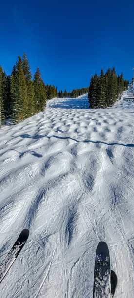 维尔的观点图片下载