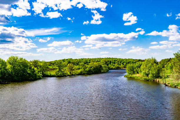 美丽的草沼泽芦苇生长在岸边水库在农村图片下载