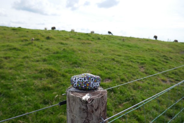 善良的岩石在金属栅栏上，背景是乡村农场图片下载