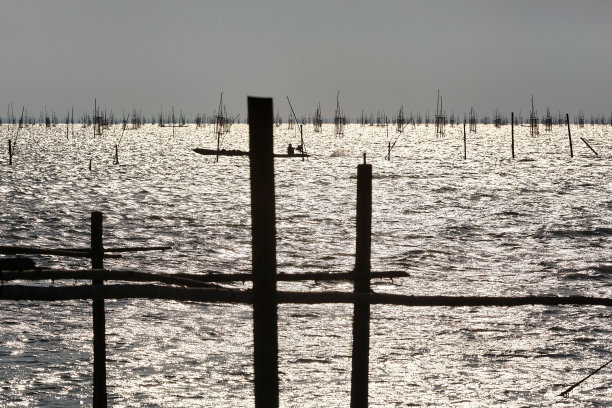 大海里的老鱼笼图片下载