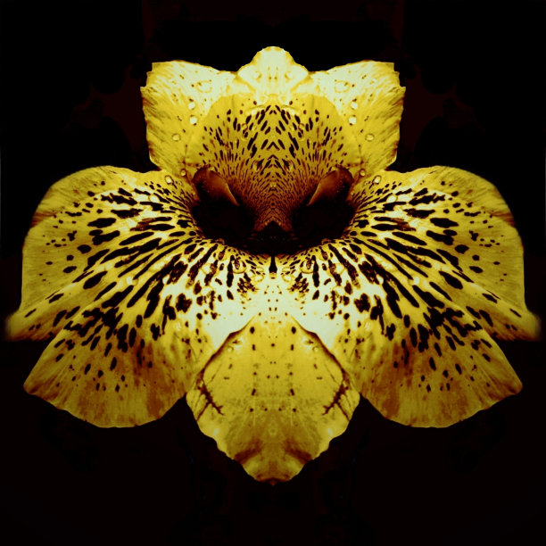 发现了图片下载