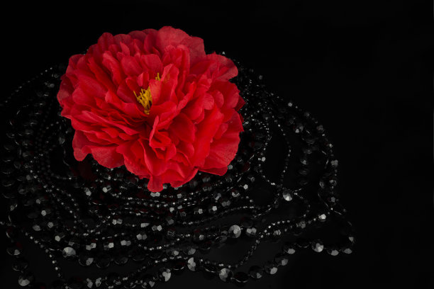 现代珠宝孤立的背景图片下载