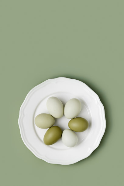 鸡蛋和彩色蛋壳放在白盘子里。极简风格的天然鸡蛋在橄榄色的背景。鸡蛋是健康的蛋白质食物。上图为单色潮流审美照片垂直视图图片下载