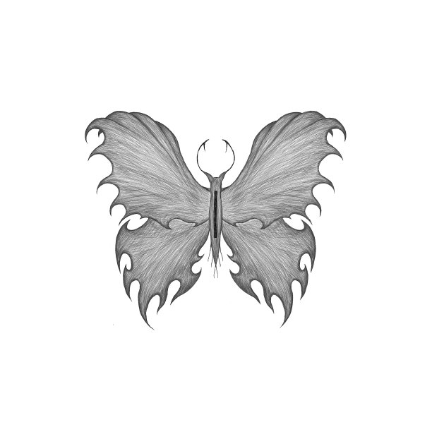 深色蝴蝶插画，纹身设计图片下载