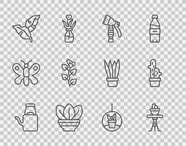 设置线喷壶，盆栽在桌子上，喷雾瓶，热带树叶，常春藤树枝，悬挂和仙人掌仙人掌图标。向量图片下载