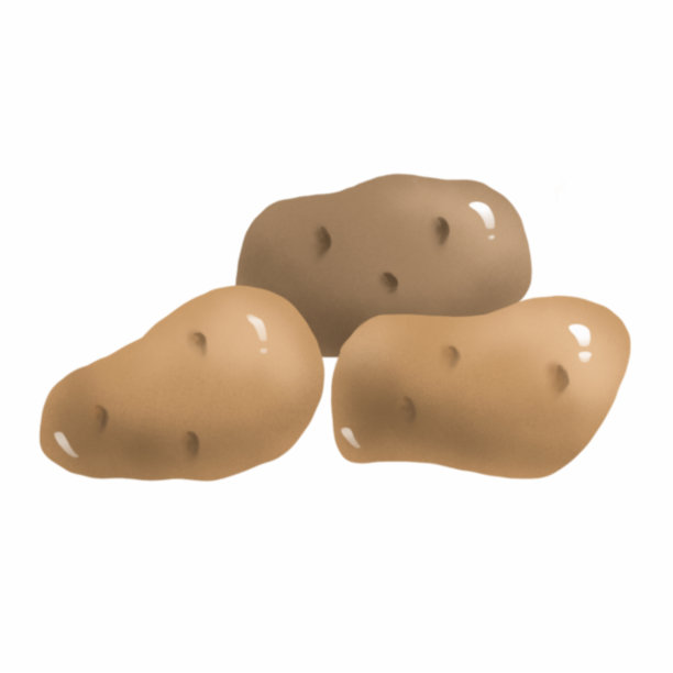 土豆。蔬菜。数码插图图片下载