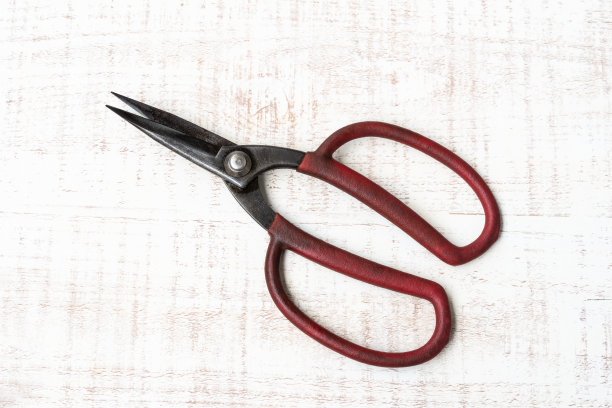 修枝剪图片下载