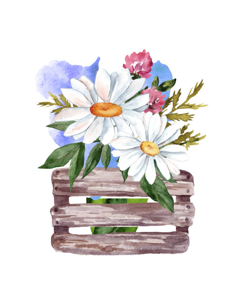 木盒子，一束夏天的野花图片下载