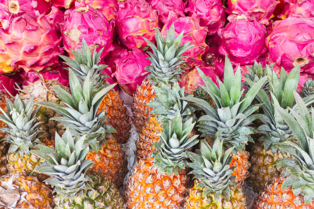 菠萝和火龙果图片下载