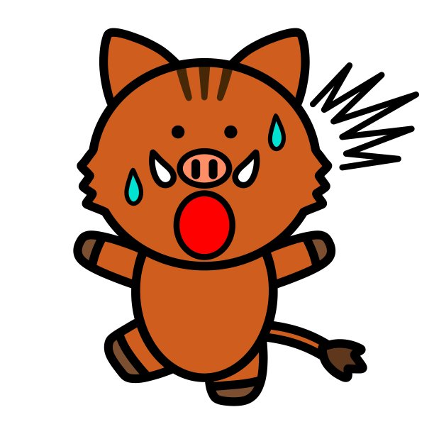 惊讶的野猪图片下载