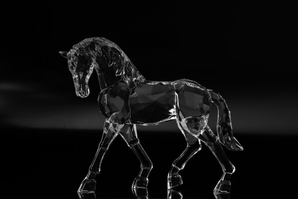 黑色背景的水晶马图片下载