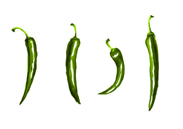 绿色的辣椒，整个成熟的豆荚与茎，手绘新鲜有机香料水彩插图图片下载