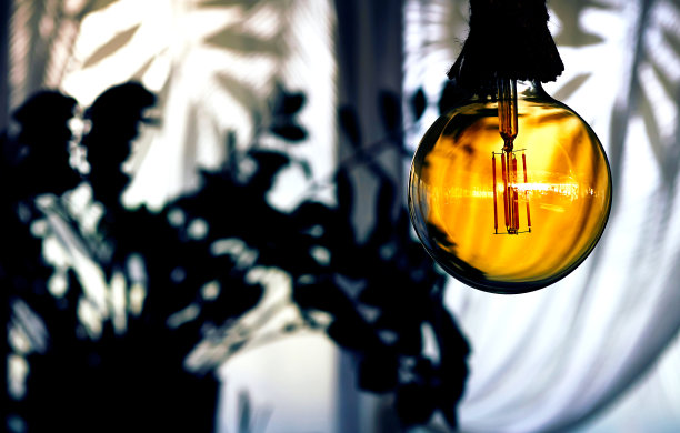 发光温暖的白炽灯关闭在一个黑暗的房间与植物图片下载