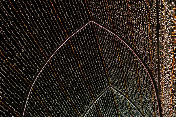 抽象的灯。圣诞街灯呈直线形，不对焦。白色和金色的灯。黑色背景。西班牙加那利群岛的特内里费岛。图片下载