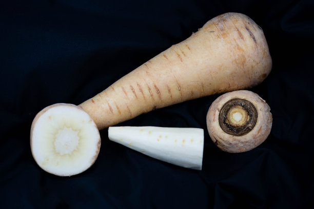 帕斯蒂纳肯图片下载