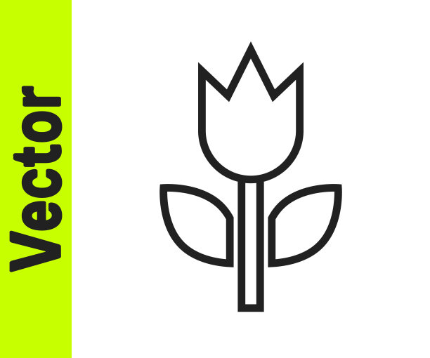 黑线照片模式宏图标隔离在白色背景上。向量图片下载