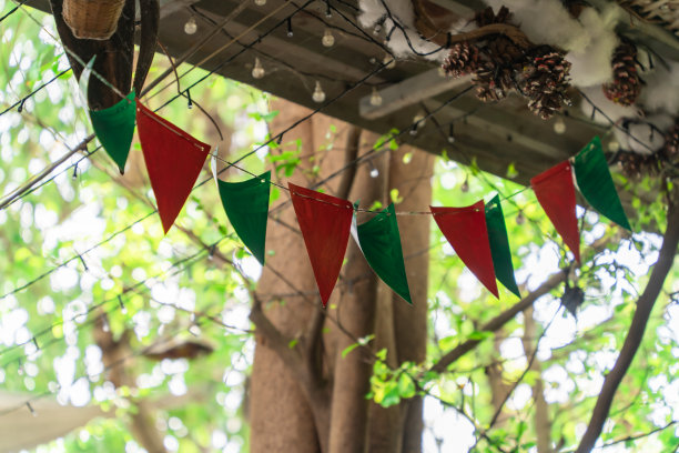 多色的节日旗帜悬挂在公园的树上。野餐，假期，生日。库存图片图片下载