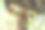 多色的节日旗帜悬挂在公园的树上。野餐，假期，生日。库存图片图片下载