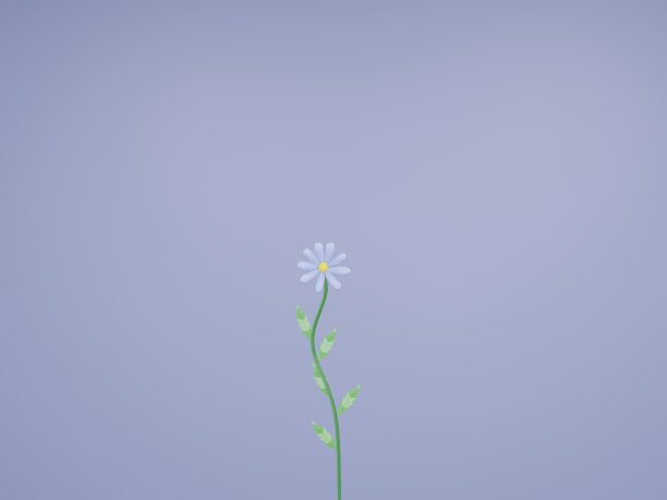 雏菊，花，辣椒，3D，插图，卡通，背景与花图片下载