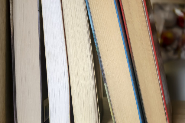 书在书架上。在壁橱里学习材料。几本书挨着放。图片下载