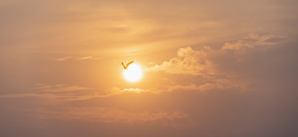 日落时橙色的天空和云图片下载