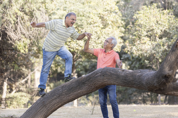 在夏日公园里，老人们和老人一起爬到树上图片下载