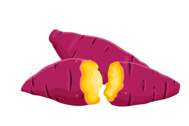 整个甘薯和甘薯切成两半的插图图片下载