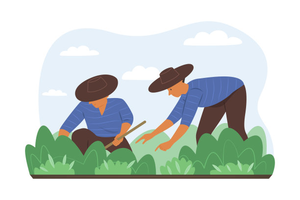 农民在花园里种植植物图片下载