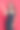 快乐的女人欢呼，庆祝孤立的红色。妇女在演播室欢呼和庆祝图片下载