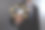 文件传输协议或用于传输文件的FTP数字系统。图片下载