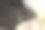 后备箱门把手。现代白色轿车后备箱门打开。车辆在公园外。内部细节的威望现代汽车图片下载