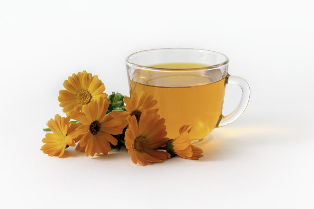 白底的金盏花茶。替代医学。图片下载