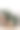 木制支架和篮子上的各种绿色室内植物。现代室内设计中的植物支架图片下载