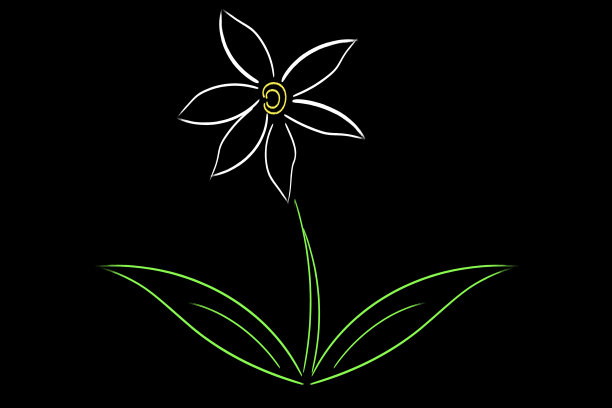 那喀索斯图片下载