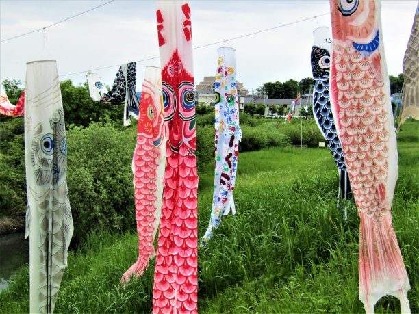 日本。五月初。孩子的一天。Koinobori，日本传统的鲤鱼形风袜。图片下载