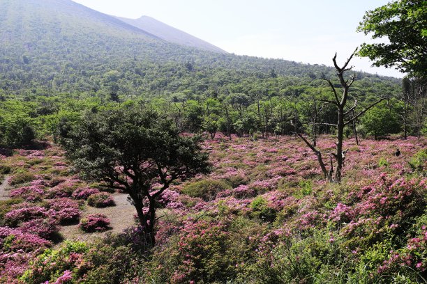 四原的三山雾岛在高町山脚下展开图片下载