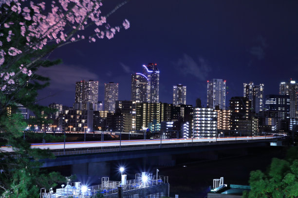 夜景的多摩河和樱花从denench府图片下载
