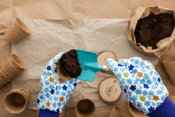 种植番茄种子图片下载