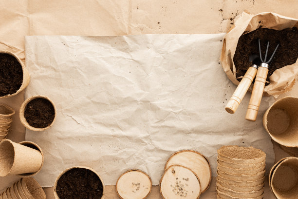 种植番茄种子图片下载