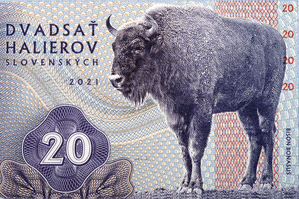 野牛，一幅来自斯洛伐克货币的画像图片下载