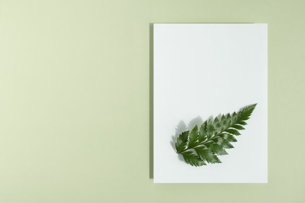 枢纽和实物模型图片下载