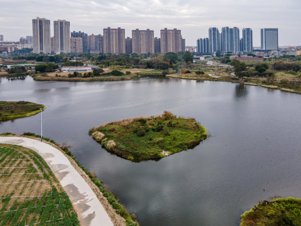 城市湿地公园鸟瞰图图片下载