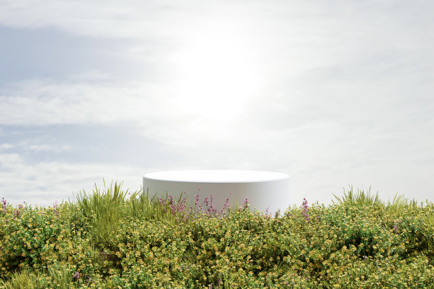摘要三维渲染春天的场景和自然的讲台背景，白色的石头讲台上的五颜六色的鲜花和草地，背景蓝天和阳光的产品展示广告等图片下载