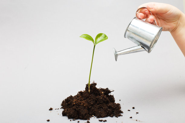 土堆里的小秧苗。孩子的手从一个玩具喷壶里给一株芽浇水图片下载