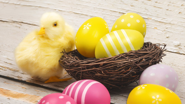 彩色的复活节彩蛋和小鸡。复活节卡片图片下载