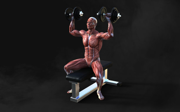 一个肌肉发达的男性健美运动员举重图片下载