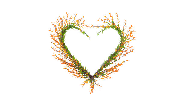 心形的树。季节性树木，有绿色和黄色的叶子。3 d渲染。图片下载